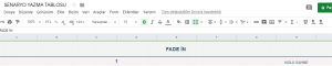 SENARYO YAZMA FORMU E TABLOSU